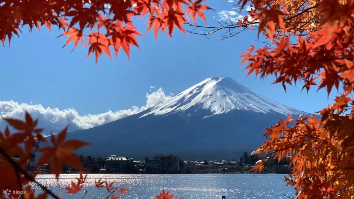 10 Activities and Tours Around Mt Fuji Throughout the Year