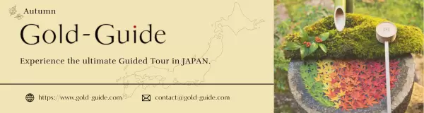 가을 특집은 이쪽!