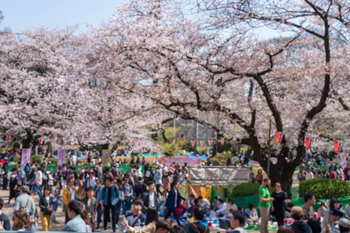 うえの桜フェスタ