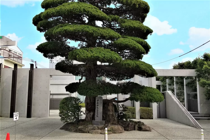 中原中也記念館