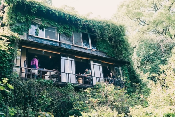 梟(ふくろう)の館