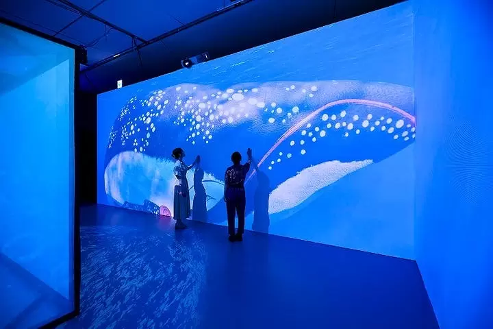 Ukiyoe Immersive Art Exhibition TOKYO
