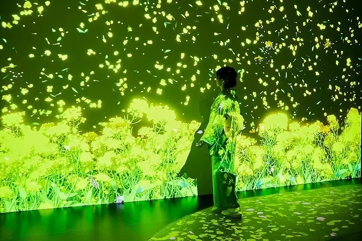 Ukiyoe Immersive Art Exhibition TOKYO