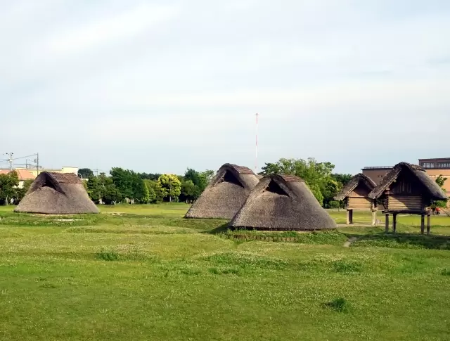 Toro Ruins: A combination of rice fields and residential areas from the Yayoi period 