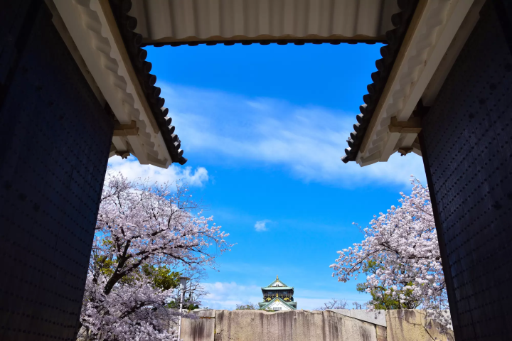 大阪城公園櫻門