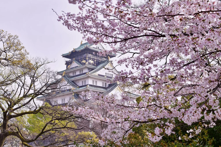 大阪城公園西之丸