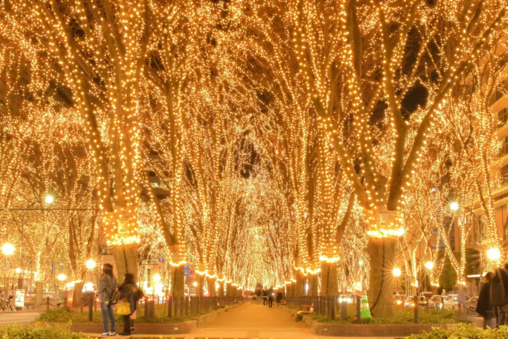 仙台の気温　12月～2月