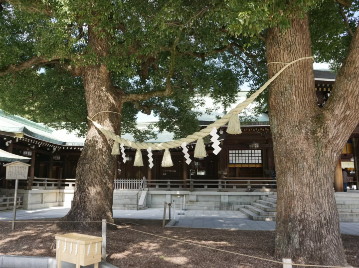 縁結び&良縁祈願スポットを全国から厳選。出雲大社や東京大神宮など、最強の縁結び神社8選