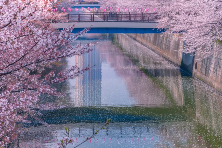 目黒川上流付近