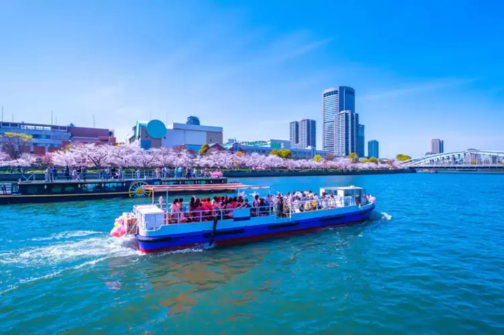 毛馬桜之宮公園
