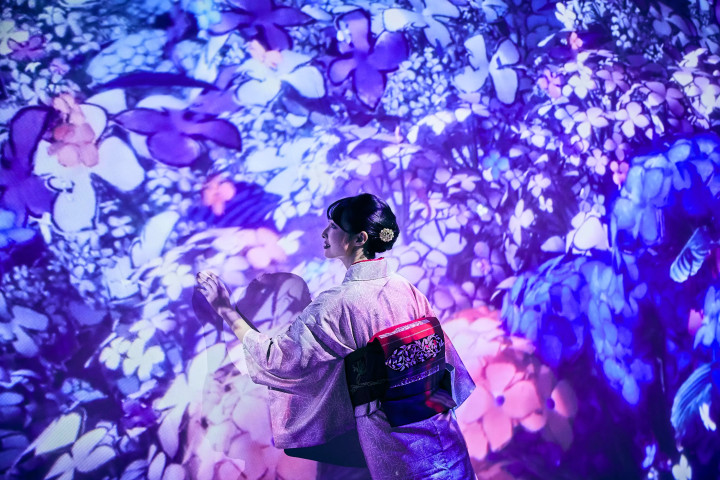 [将于2024年12月21日星期六至2025年3月31日星期一在寺田仓库G1大楼（东京品川区）举行] 浮世绘展进行中东京