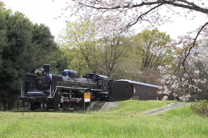 小金井公園　SL展示場