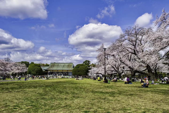 小金井公園　たてもの園前広場