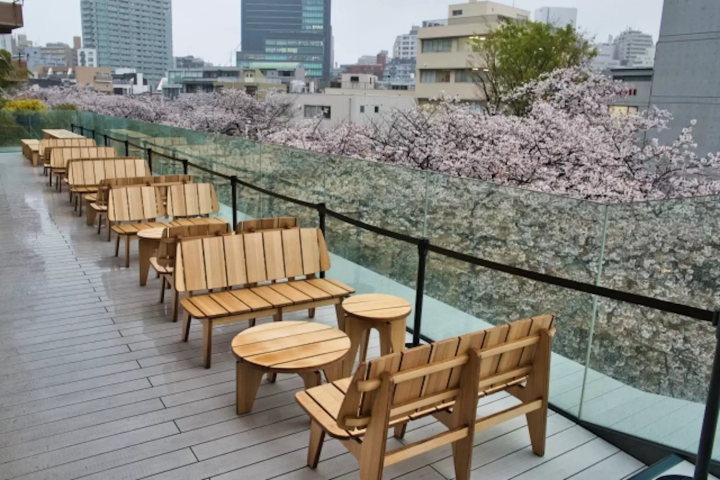 桜の見えるテラス席