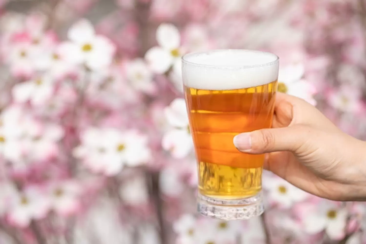 桜とビール