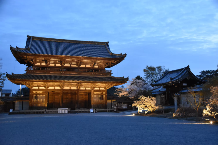 [ฤดูใบไม้ผลิ 2025] โครงการระดับพรีเมียมเพื่อเพลิดเพลินกับมรดกโลกทางวัฒนธรรมวัด Ninna-ji แบบส่วนตัวพร้อมให้บริการแล้ว