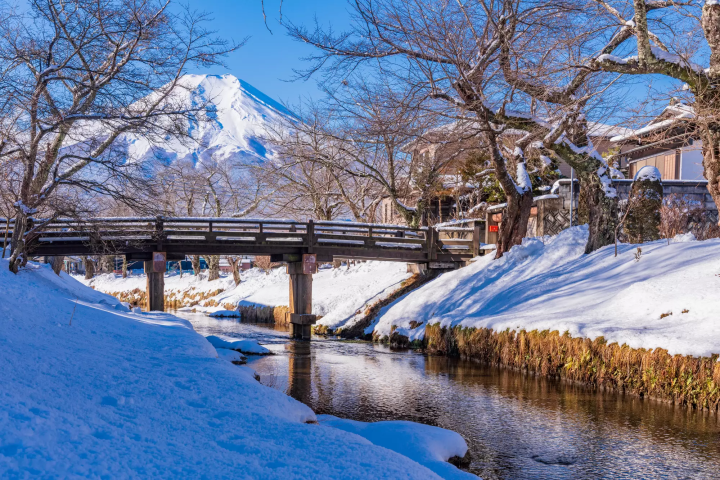 ที่มา: pixta 