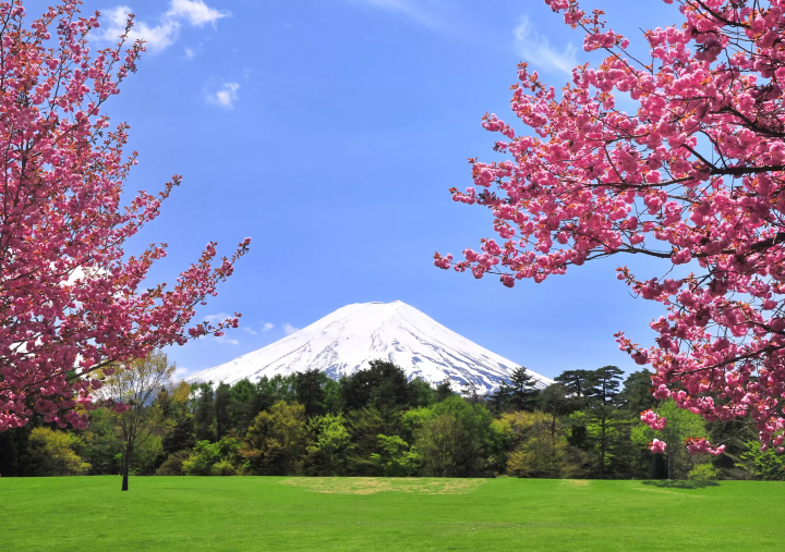 ที่มา: pixta 