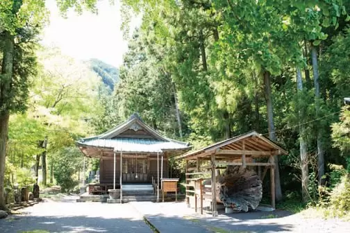 Shizuoka sightseeing itinerary(1 night, 2 days) Stay at a craft inn / Enjoy seafood and mountain delicacies