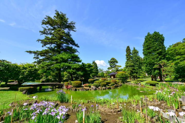 Inside Fujita Memorial Garden