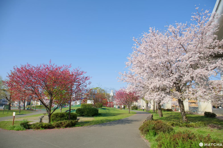 おすすめスポット3. 蒔田公園