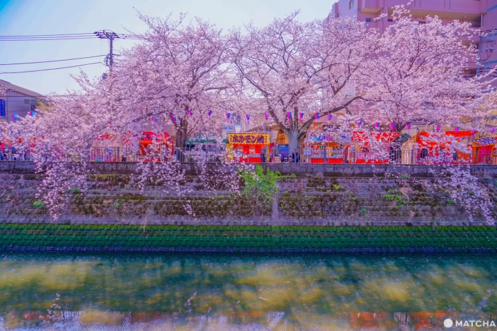 おすすめスポット2. 鶴巻橋