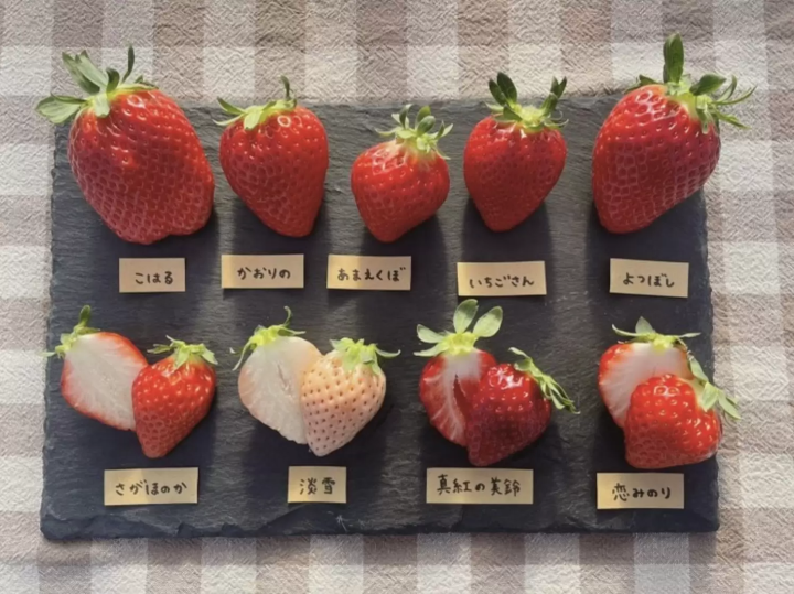 Farm Introductions: Kishigawa Strawberry Farm