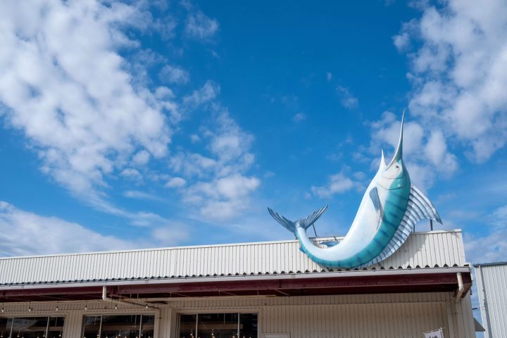 [Near Tokyo!] A thorough explanation of the attractions, fun and directions to Tomiura Station in Boso, Chiba!