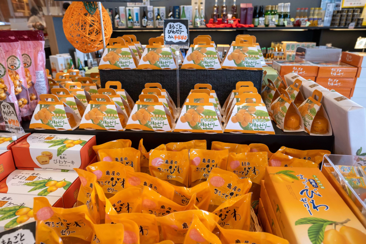 [Near Tokyo!] A thorough explanation of the attractions, fun and directions to Tomiura Station in Boso, Chiba!