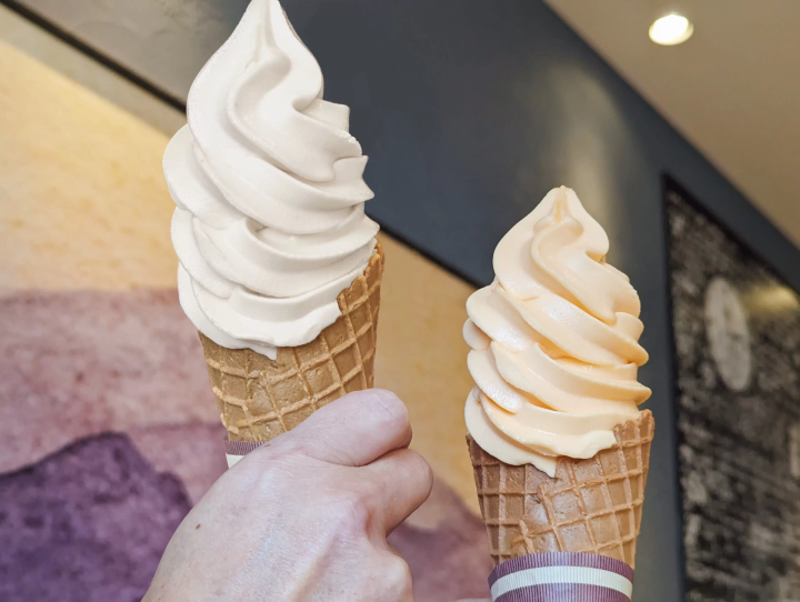 [90 minutes by car from Tokyo!] Enjoy the gourmet food of the Minami Boso area of Chiba at Boso Station Tomiura!