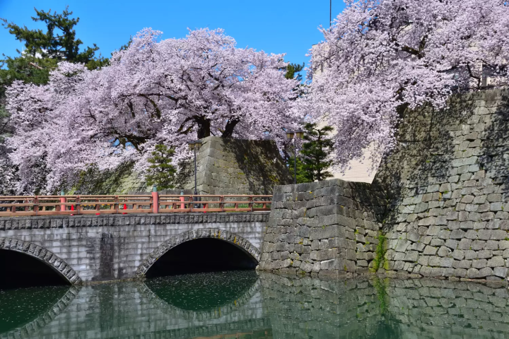 福井の4月〜6月の気温
