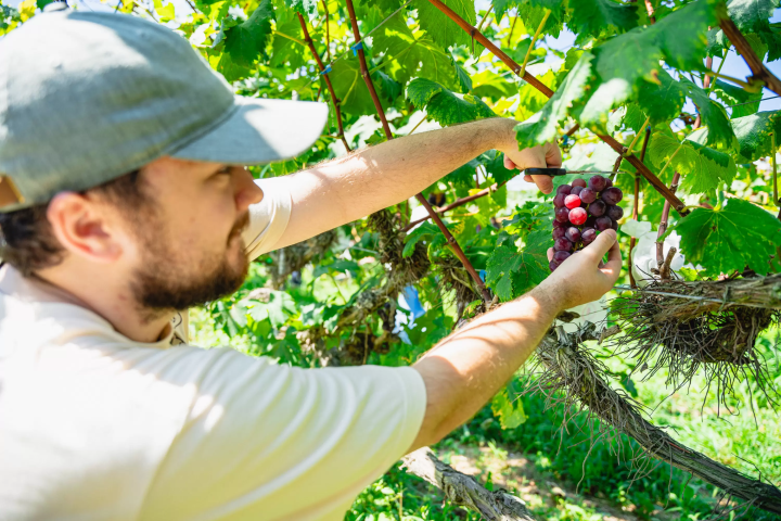 【京都の丹後エリアを堪能】丹後王国「食のみやこ」で過ごす半日モデルコースをご紹介