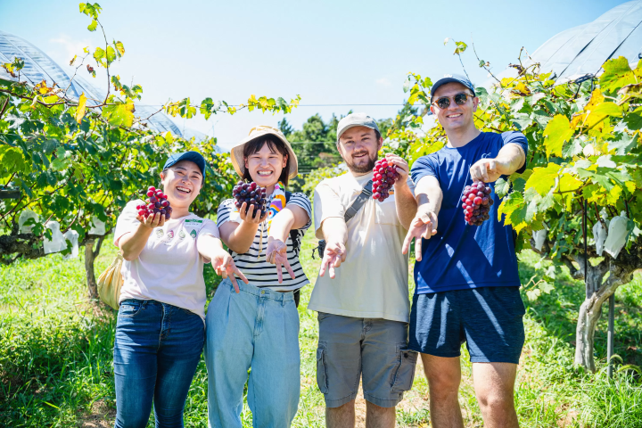 【京都の丹後エリアを堪能】丹後王国「食のみやこ」で過ごす半日モデルコースをご紹介