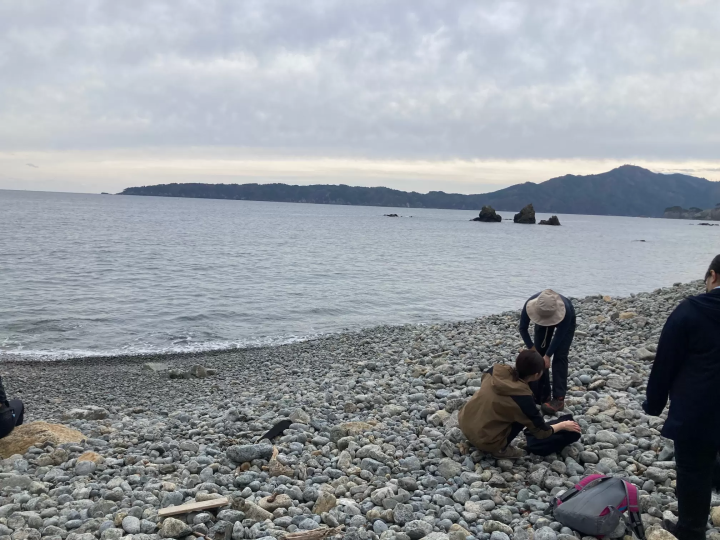 触摸海滩上许多圆石的感觉真好。 