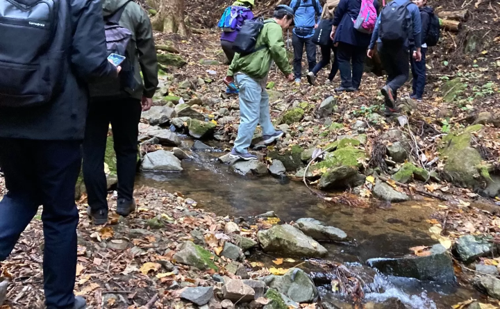 穿越的过程也比较惊险。 