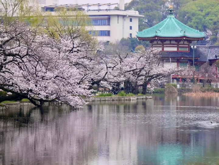 不忍池弁天堂