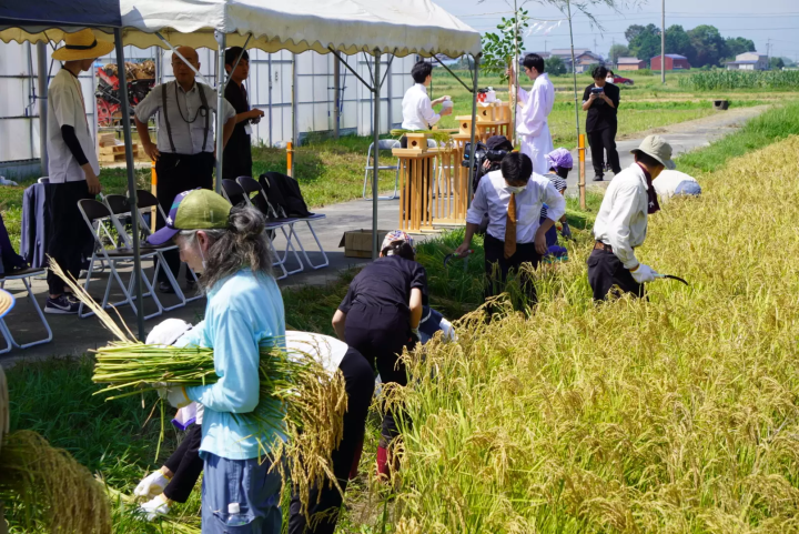 สาเกชื่อดังที่ซ่อนอยู่ของจังหวัดมิเอะ ``ชินโตไม่มีการสวดมนต์'' |. สุราที่ทำจากน้ำใต้ดินจากแม่น้ำอีซูซุ