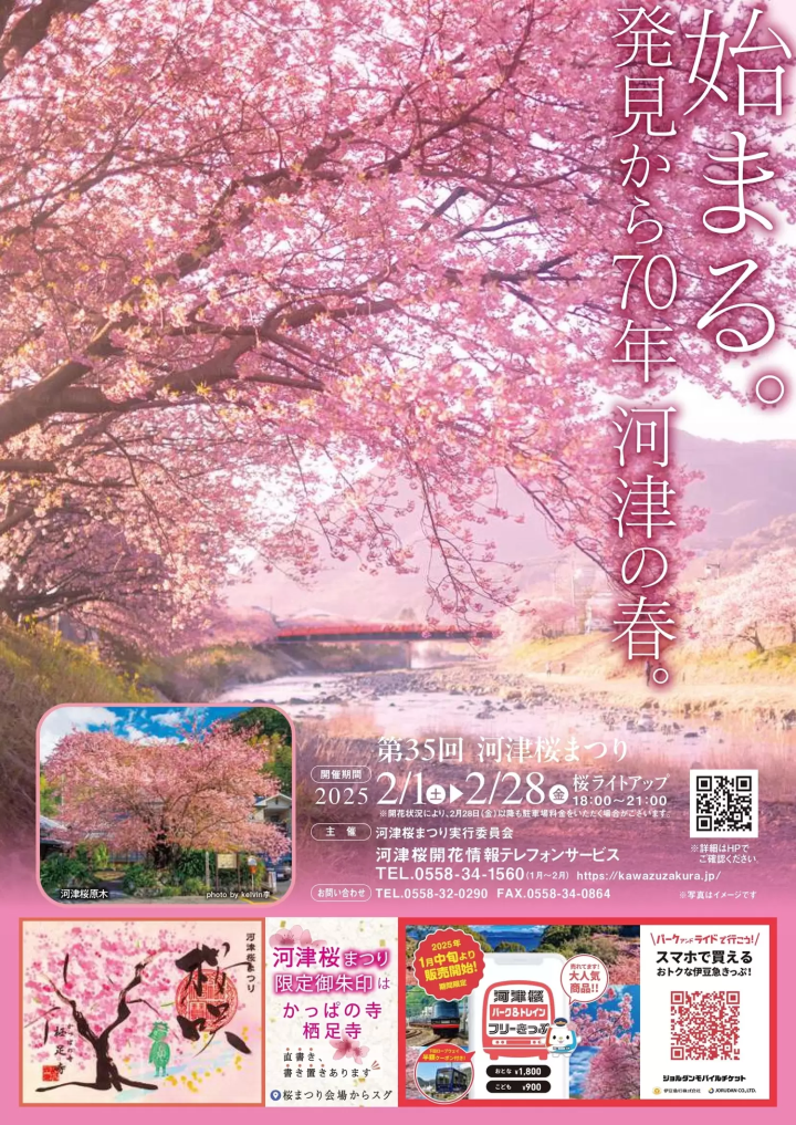 第35回河津桜まつり