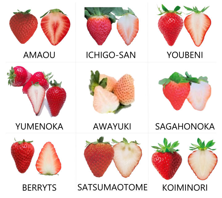 Introducing the 9 types of strawberries that will be available at the tasting event!