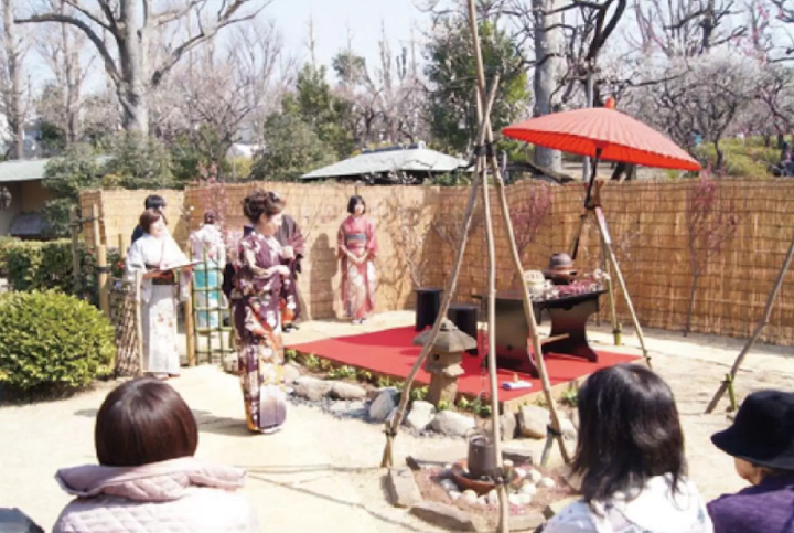 せたがや梅まつり　抹茶体験