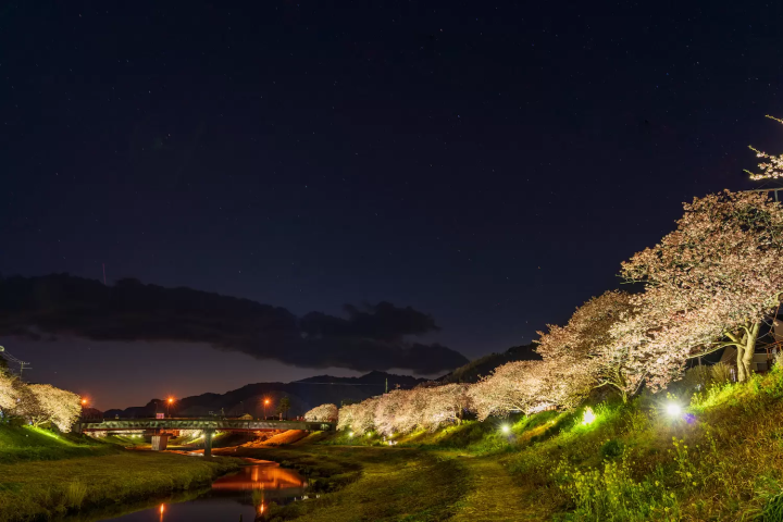 下賀茂温泉の夜景