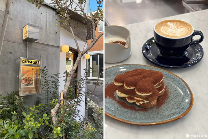 cafe The SUN LIVES HERE 店外觀和提拉米蘇