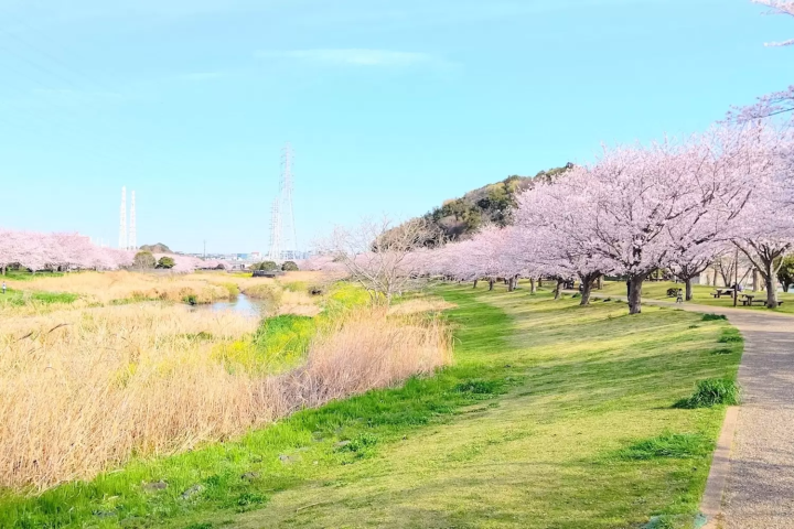 引地川親水公園