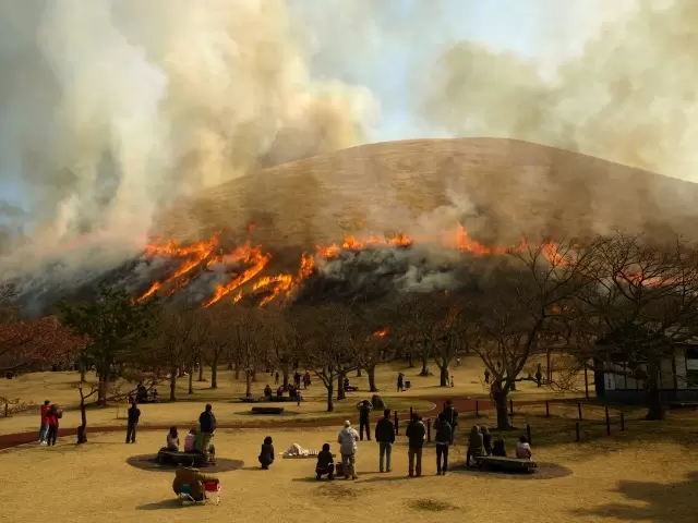 【靜岡】伊豆景點推薦,外型有如抹茶布丁的大室山,動畫電影「你的名字」場景參考原型