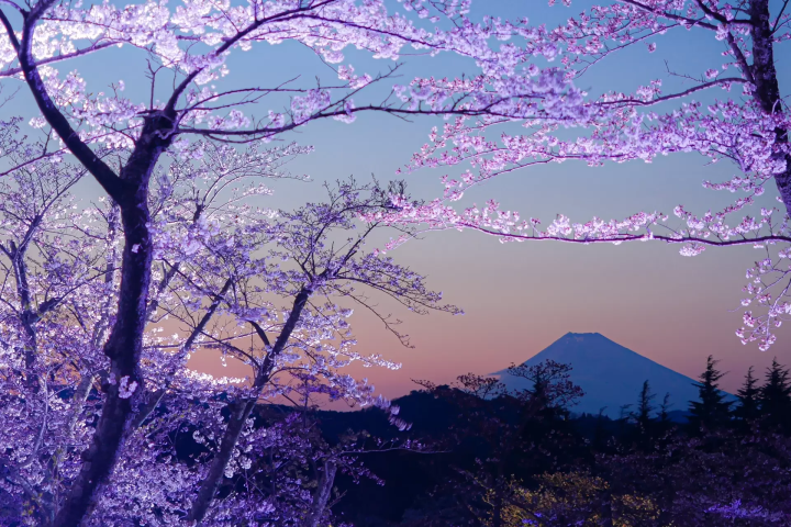 【靜岡】伊豆景點推薦,外型有如抹茶布丁的大室山,動畫電影「你的名字」場景參考原型