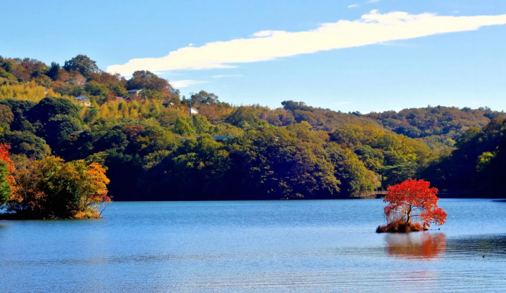 【靜岡】伊豆景點推薦,外型有如抹茶布丁的大室山,動畫電影「你的名字」場景參考原型