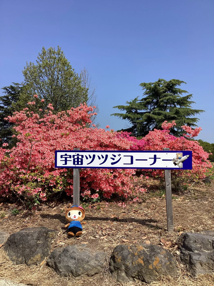 ส่งเสริมตัวละครมาสคอตเมืองทาเทบายาชิ “ปอนจัง” และดอกอาซาเลียอวกาศ 