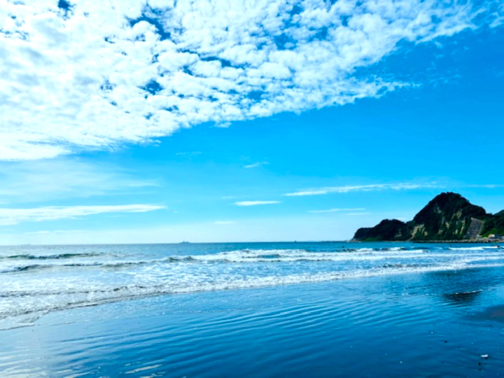 [90 minutes by car from Tokyo!] Enjoy the gourmet food of the Minami Boso area of Chiba at Boso Station Tomiura!