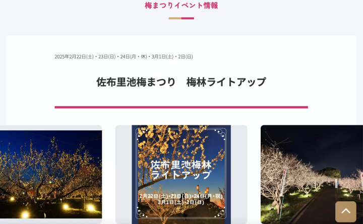 【2025】愛知「佐布里池梅まつり」が2/8から開催！見どころを紹介！