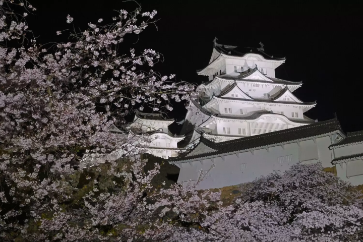 姫路城　ライトアップ